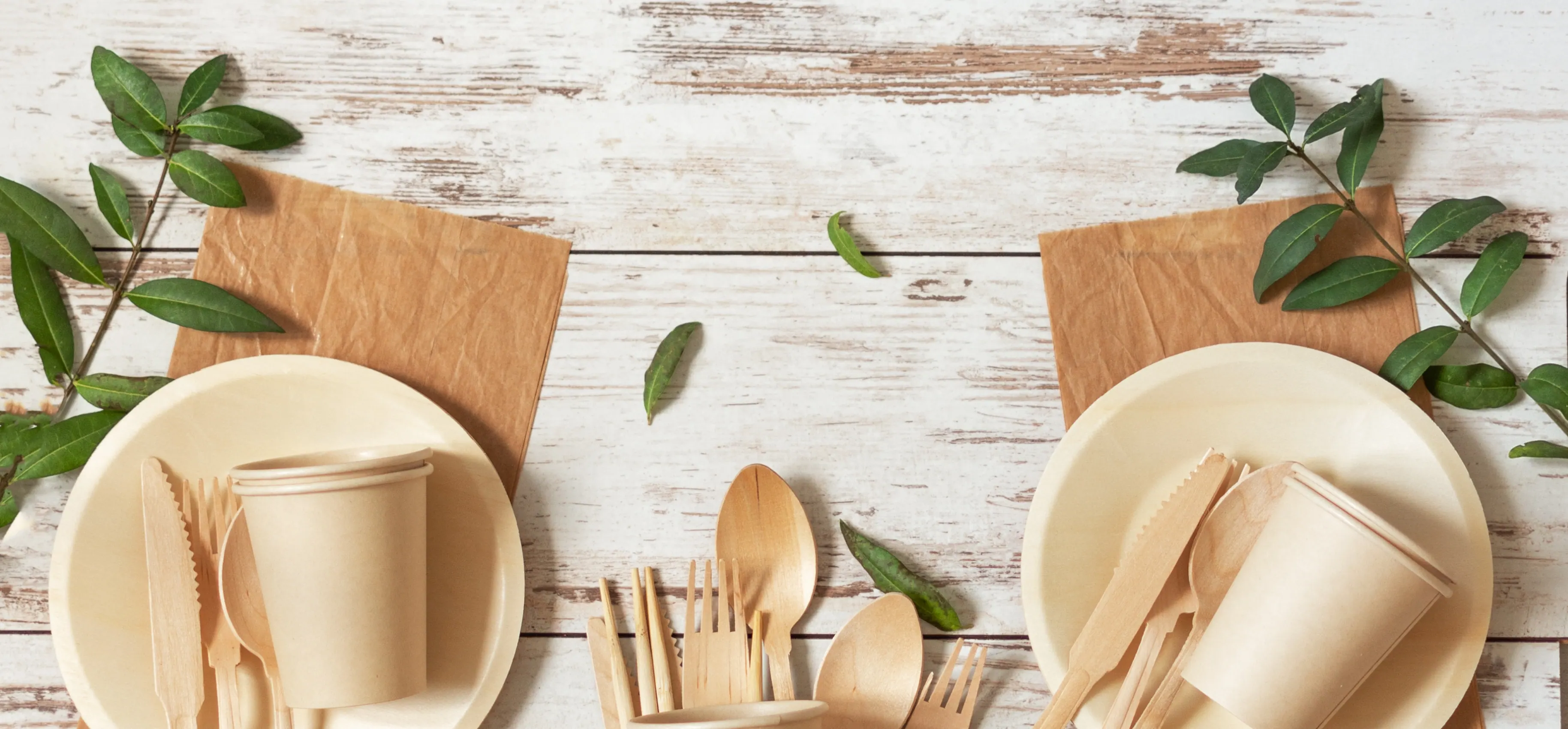 Disposable Wood Cutlery